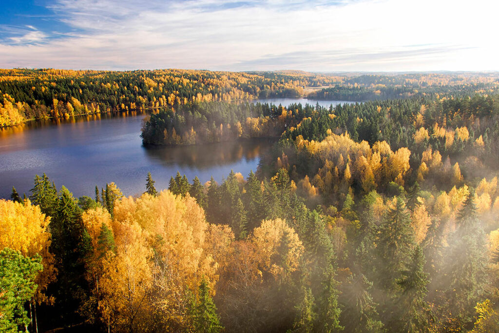 Maisema
